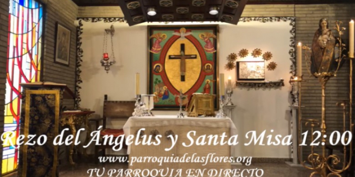 Rezo del Ángelus y Santa Misa a las 12:00